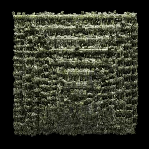 Cuadro verde, 2010. 80×80 cm; lino, gesso y acrílico.